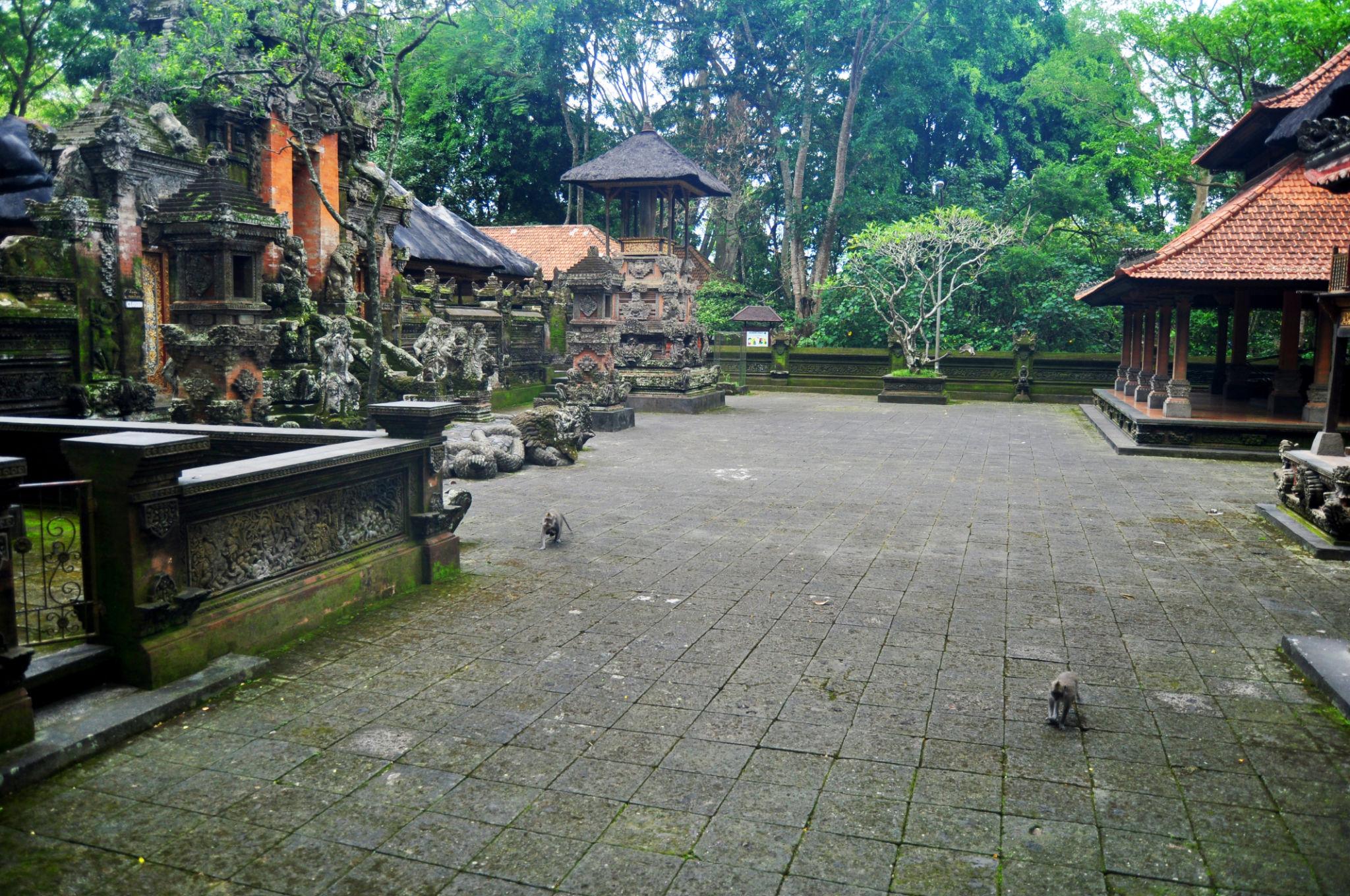 Ubud Area