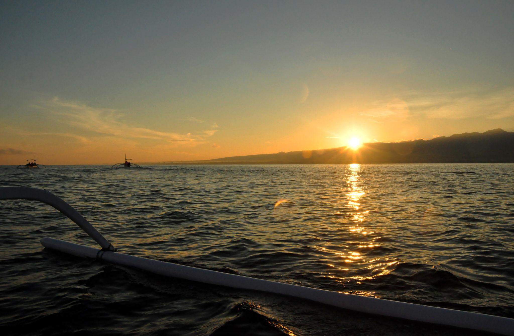 Lovina Beach - Dolphin Experience